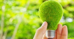 materiale ecologice